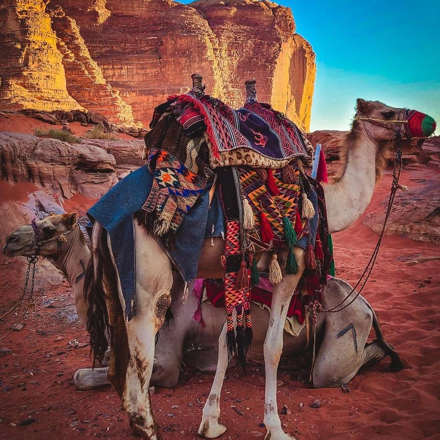 Wadi Rum Bedouin Time ภายนอก รูปภาพ
